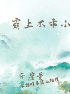 霸上不乖小逃妻