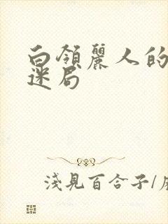 白领丽人的危情迷局