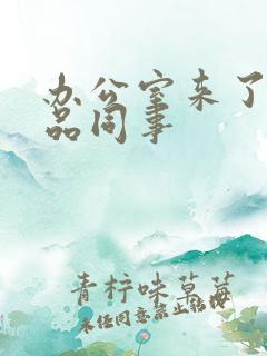 办公室来了个极品同事