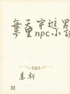 每天穿进男神的梦里npc小说txt