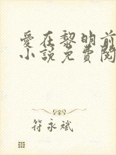 爱在黎明前降落小说免费阅读