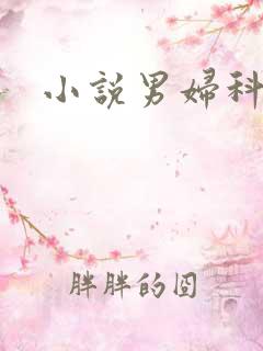 小说男妇科医生