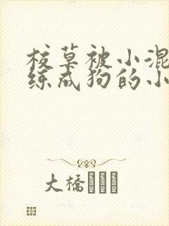 校草被小混混训练成狗的小说