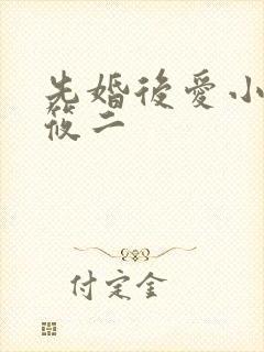 先婚后爱小说梦筱二