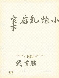 家庭乱炮小说全本