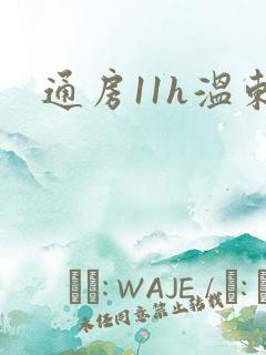 通房11h温东