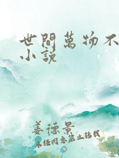 世间万物不及你小说