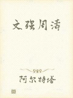 文强周涛