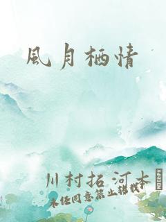 风月栖情