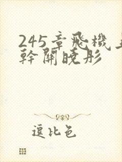 245章飞机上干关晓彤