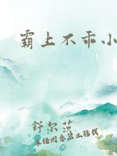 霸上不乖小逃妻