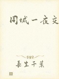 同城一夜交友