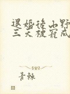 退婚后山野糙汉三天被宠成宝小说