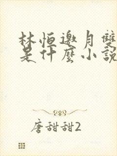 林恒邀月双胞胎是什么小说