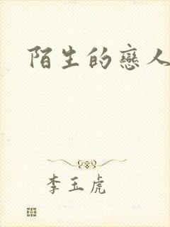陌生的恋人小说