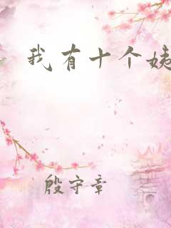 我有十个姨太太