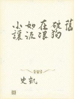 小如在破旧仓库让流浪狗