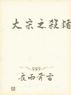 大宋之杀猪状元