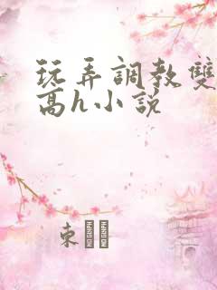 玩弄调教双胞胎高h小说