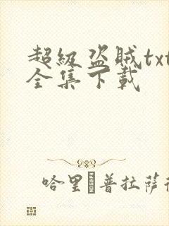 超级盗贼txt全集下载