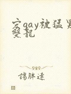 宏gay被猛男双龙