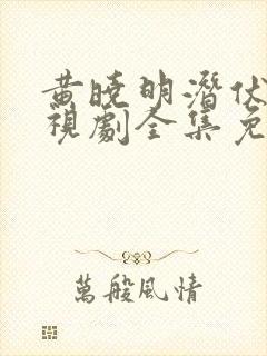 黄晓明潜伏者电视剧全集免费观看