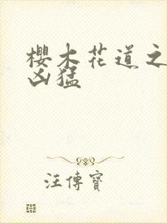 樱木花道之重生凶猛