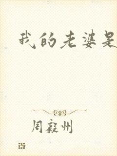 我的老婆是大神