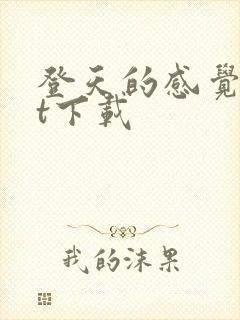 登天的感觉txt下载