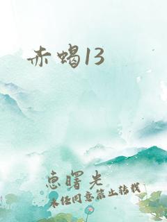 赤蝎13