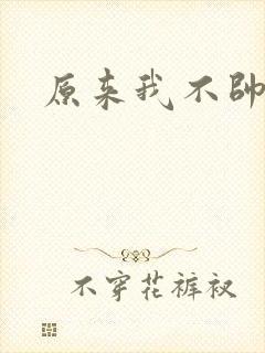 原来我不帅小说