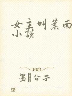 女主叫叶南初的小说