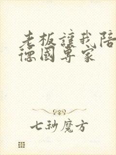 老板让我陪两个德国专家