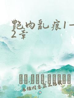 艳肉乱痕1—12章