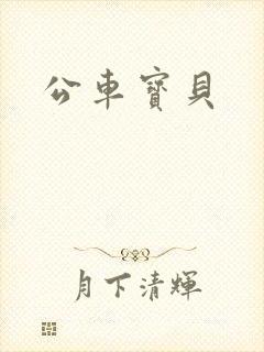 公车宝贝