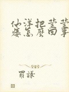 仙洋把莹莹干肛瘘怎么回事