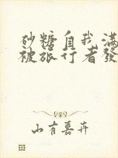 砂糖自我满足时被旅行者发现小说