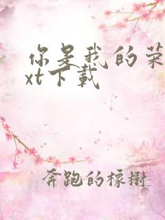 你是我的荣耀txt下载