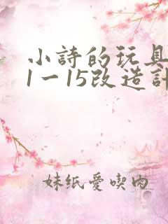 小诗的玩具日记1一15改造计划