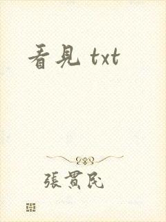 看见 txt
