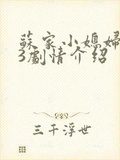 苏家小媳妇1v3剧情介绍