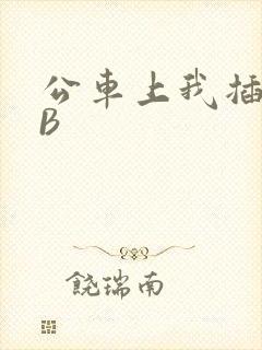 公车上我插上骚B
