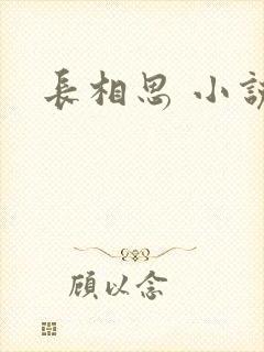 长相思 小说