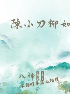 陈小刀柳如意