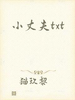 小丈夫txt