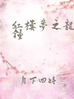 红楼梦之龙套秦钟