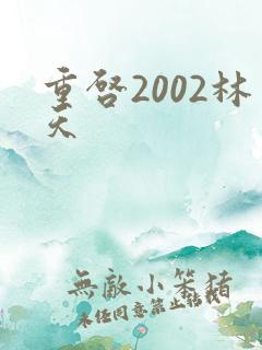 重启2002林天
