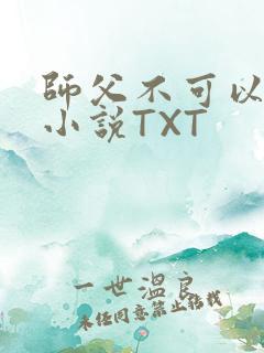 师父不可以灵犀小说TXT