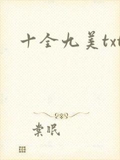 十全九美txt