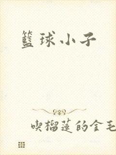 篮球小子